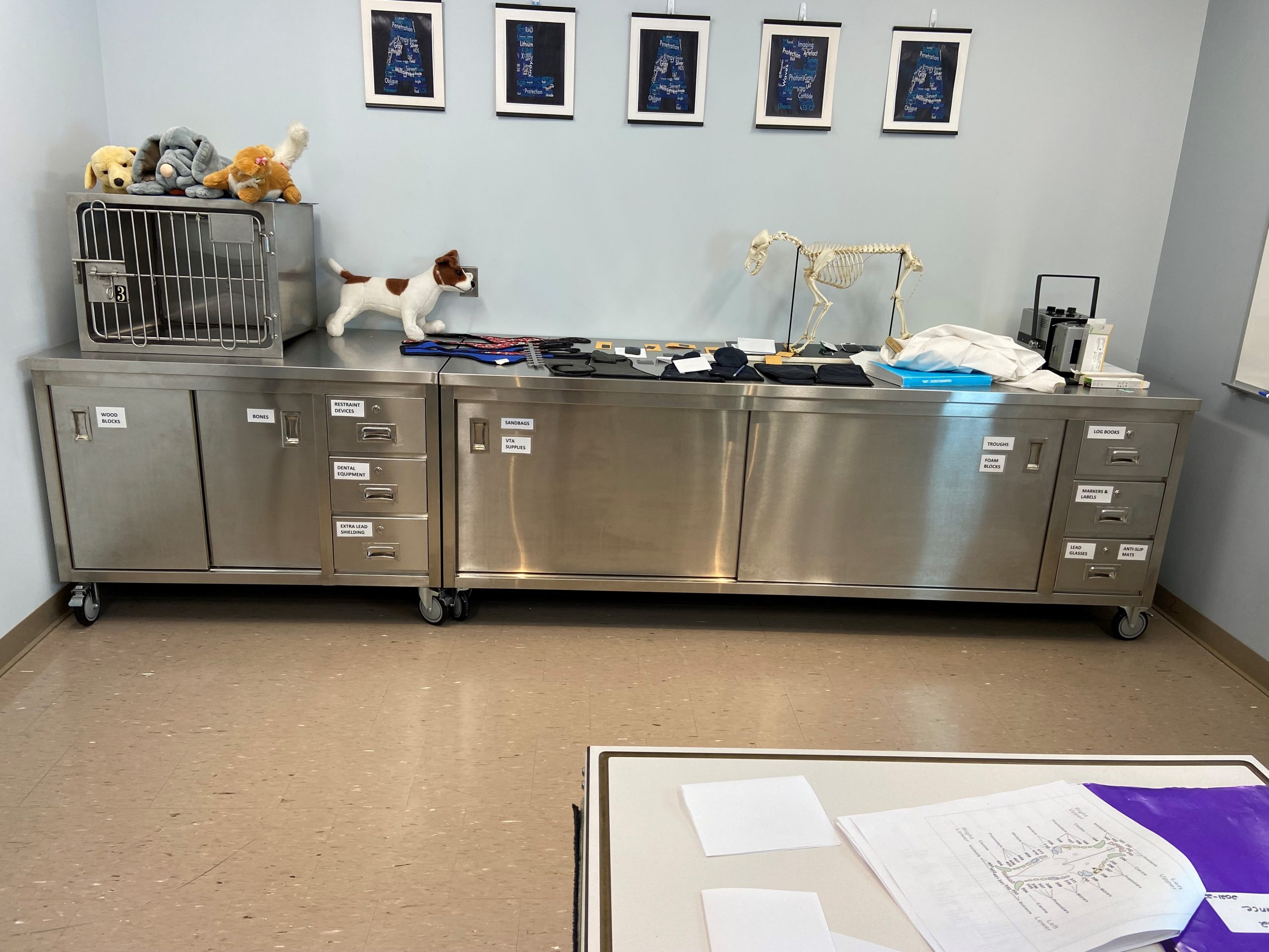 stainless steel cabinets with dog stuffed toys and a cage on top