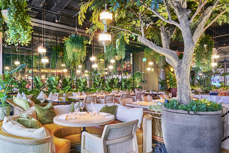 Chic and trendy restaurant with greenery and trees incorporated into the design